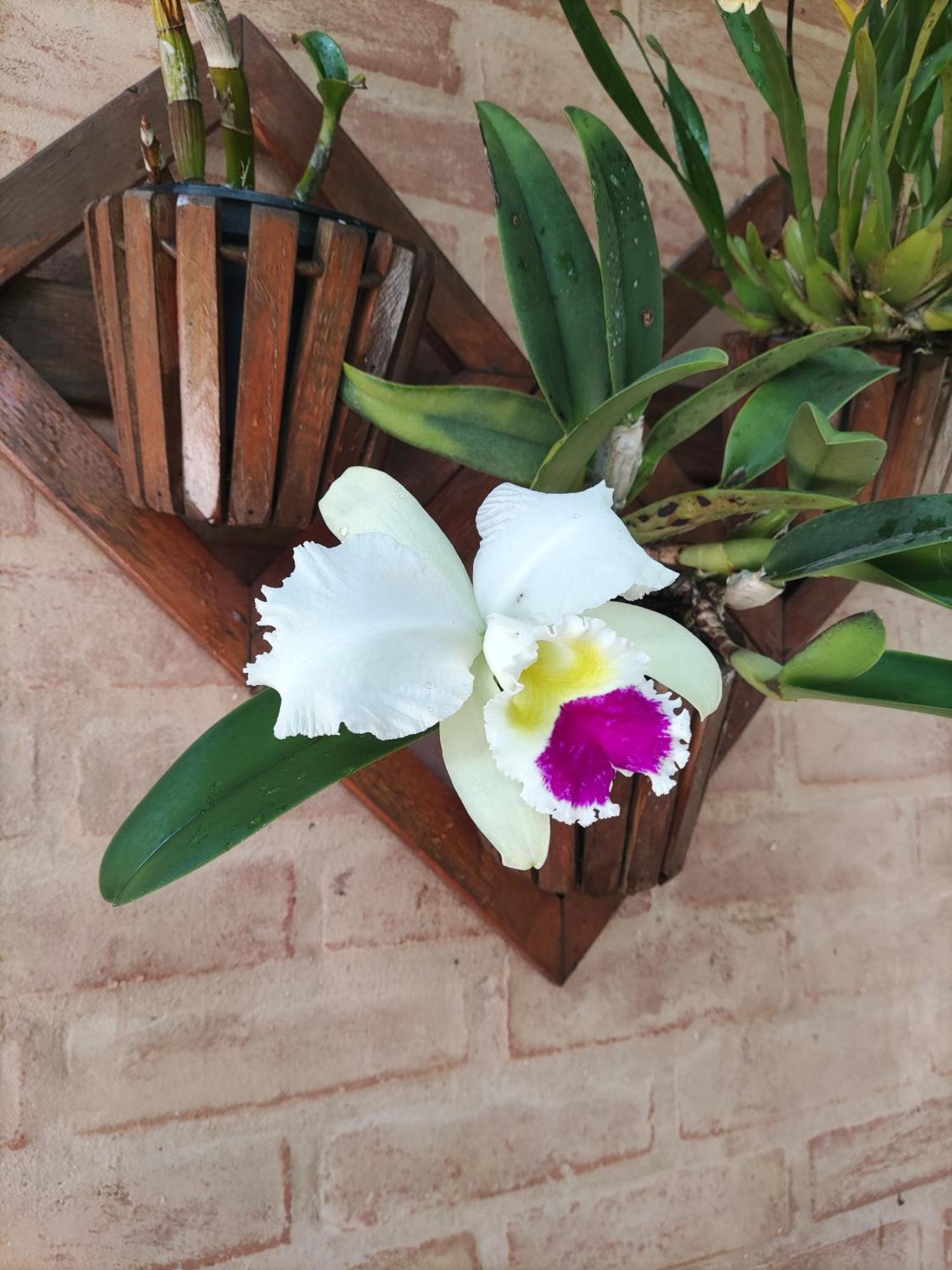 Casa de férias Chale Alecrin, Lancamento Em Conforto E Estilo!